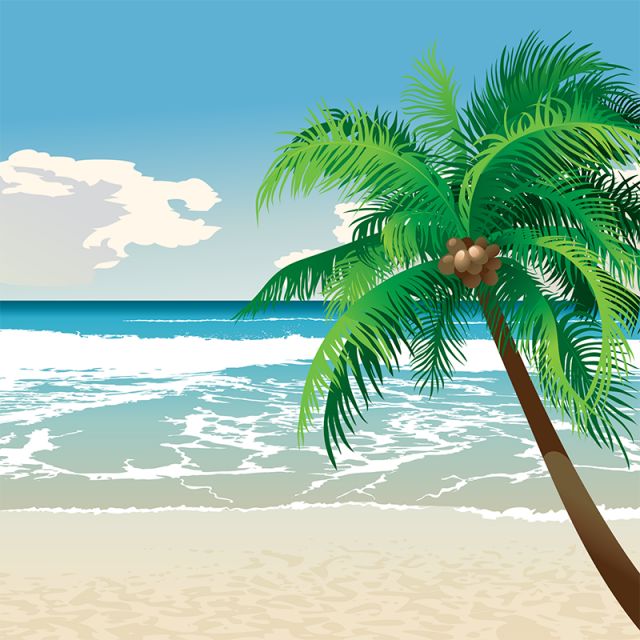 SOUTH INDIAN BEACHES